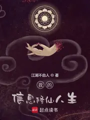 我的信息修仙人生